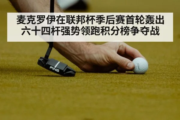 麦克罗伊在联邦杯季后赛首轮轰出六十四杆强势领跑积分榜争夺战