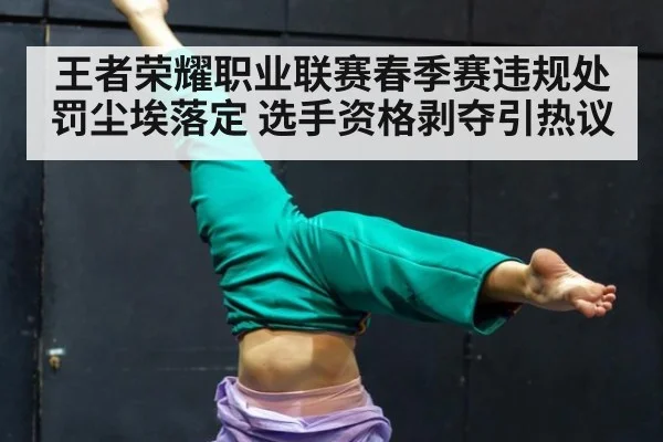 王者荣耀职业联赛春季赛违规处罚尘埃落定 选手资格剥夺引热议