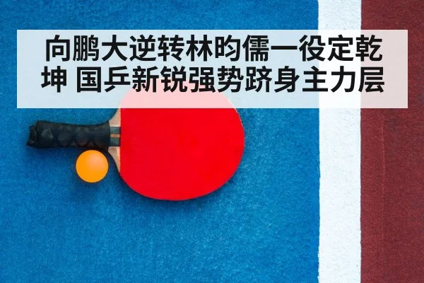 table tennis racket